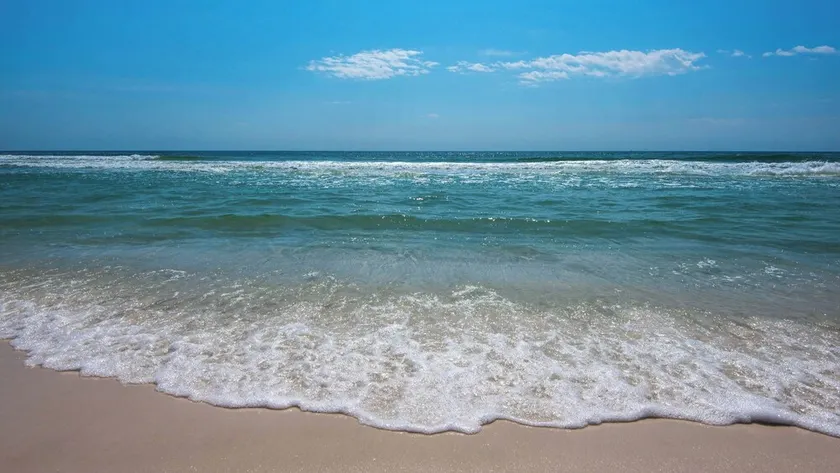 Oceanfront Condo with Shared Pool & Seasonal Beach Service Rentals - Image 1