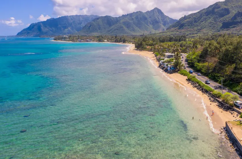 * 499 $ Special!* Oceanfront Private Oasis w / central AC - Turtle Point Beach House - Image 1