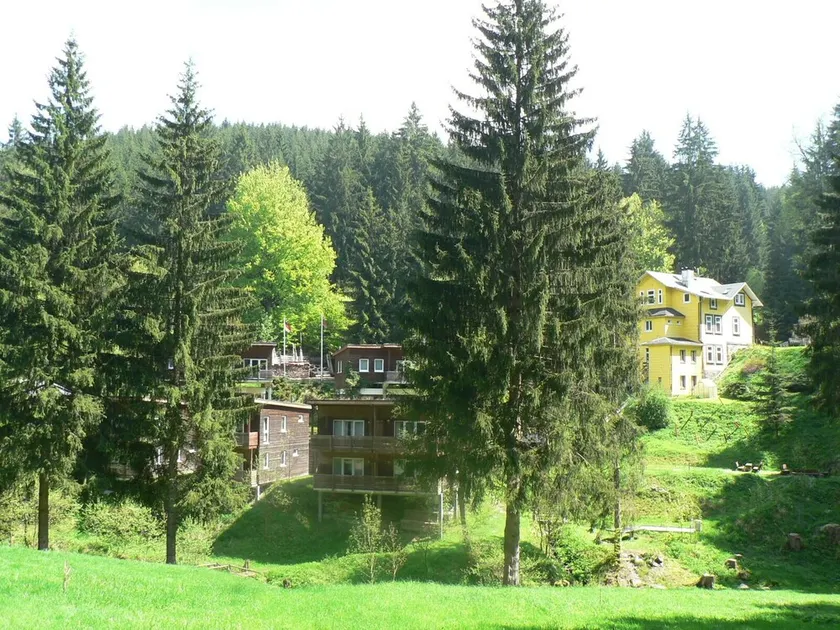 Idyllically situated vacation home in the middle of the forest - Image 1