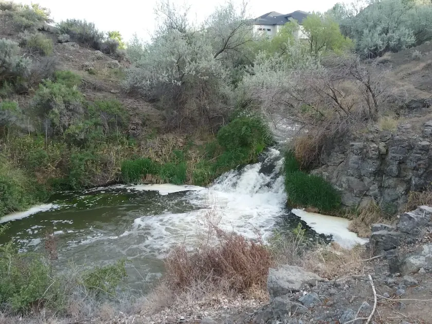 Snake R. Canyon/Creekside Retreat. Near 1000 Springs/Hot Springs/Balanced Rock - Image 1