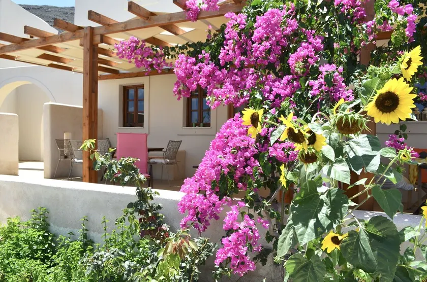 Cactus hideaway with sea views - Image 1