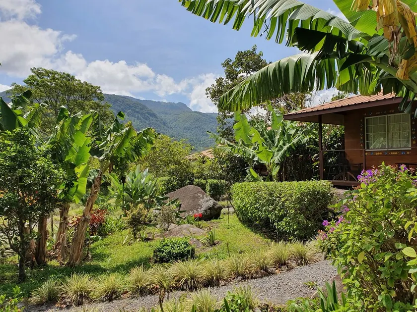 Ecoresort:  We are Panamas leading honey producer and  butterfly exhibit. - Image 1