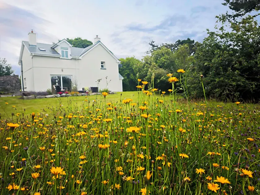 Traditional Connemara Retreat | 5 Mins to Aran Ferry - Image 1