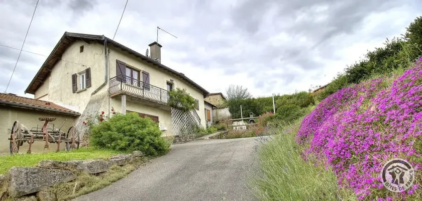 Gîte de la Faneuse - BESSENAY - Image 1