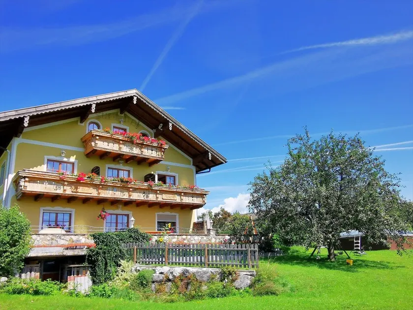 Arnika - Sunnhof (3 flores) - Krempler - Image 1