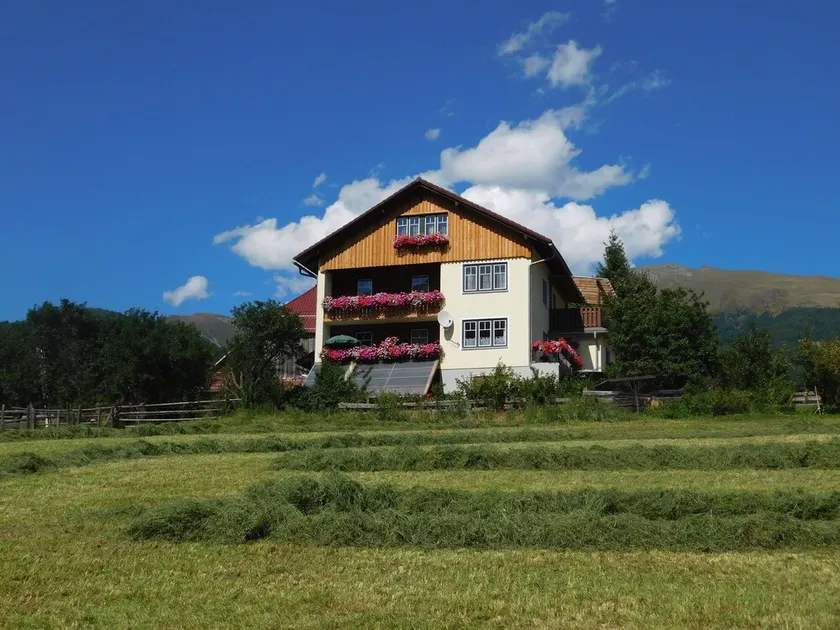 Ferienwohnung Holmbauer - Ferienwohnung - Image 1