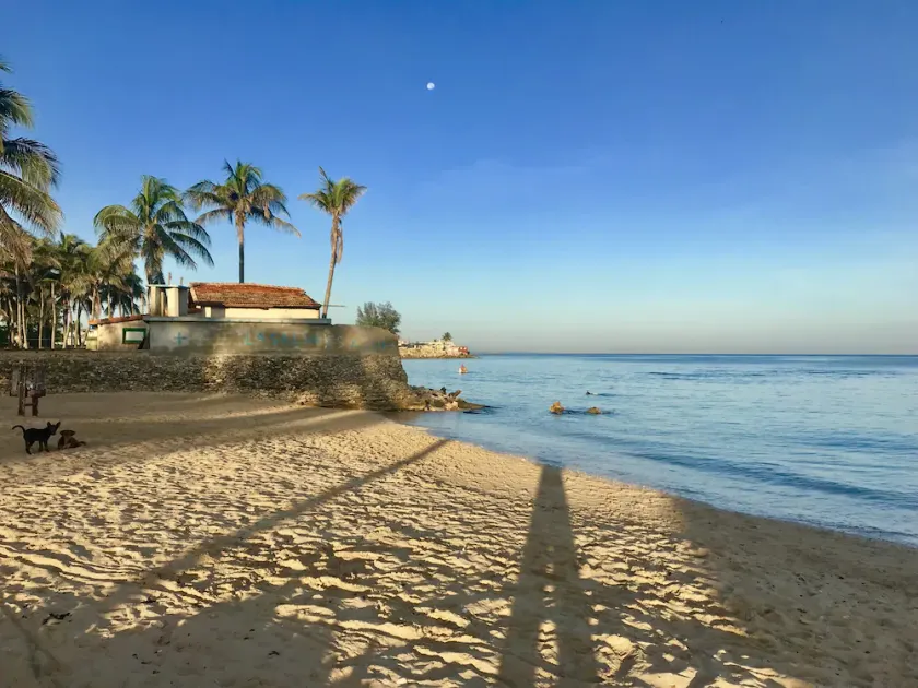 Casamigos - Image 1
