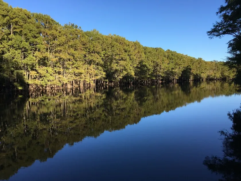 One of a Kind-Get Away / Big Cypress Bayou in der Nähe von Jefferson & Caddo - Image 1