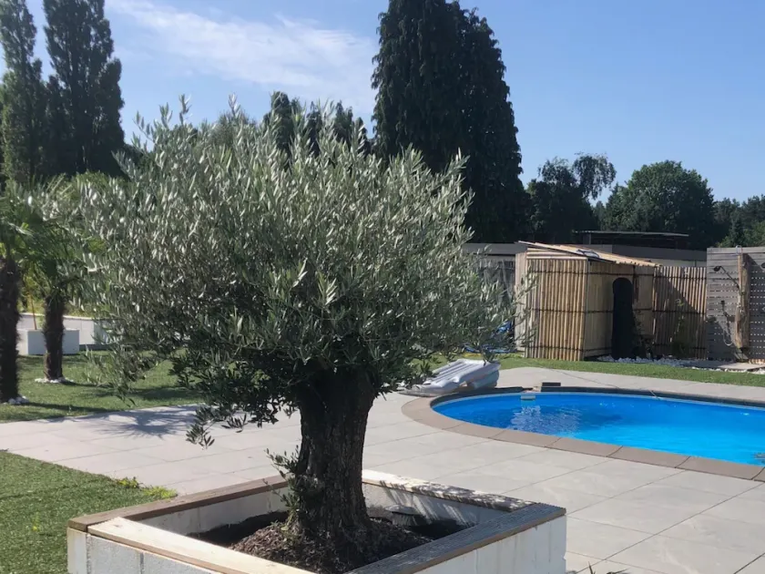 Enigma Lounge Chalet With Swimming Pool - Image 1