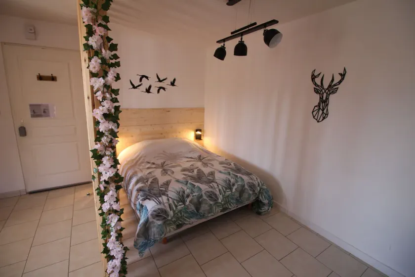 Comfortable T1 apartment at Lac du Der - Image 1
