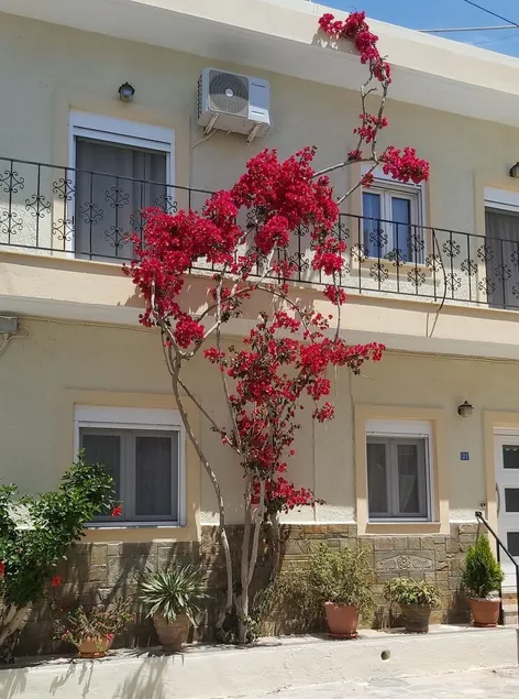 Appartement en Vielle Ville Ierapetra - Image 1