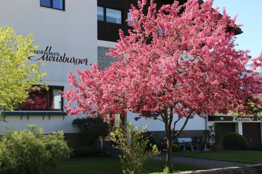 Gästehaus Meusburger - Image 1