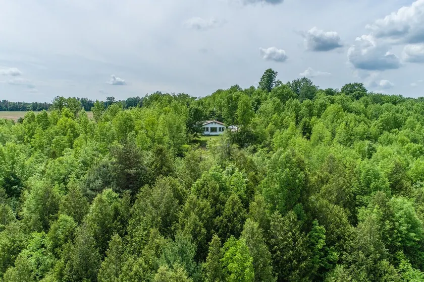 Secluded 3 bedroom bungalow on the Saugeen River with 85-acres. - Image 1
