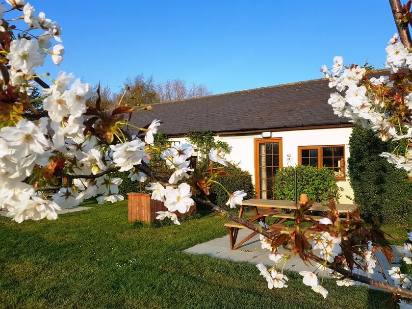 Pretty holiday cottage at Hawthorn Farm with lovely views of the donkey paddocks - Image 1