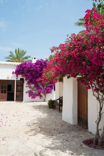 Stunning Ibiza Villa | 6 Bedrooms | Villa Santy | Gorgeous Sea & Mountain Views | Sant Joan - Image 1