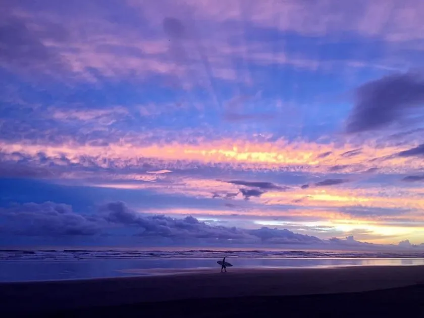 BOOK - MOVE IN - FEEL GOOD! Your Studio right on the Beach. Pets welcome! - Image 1