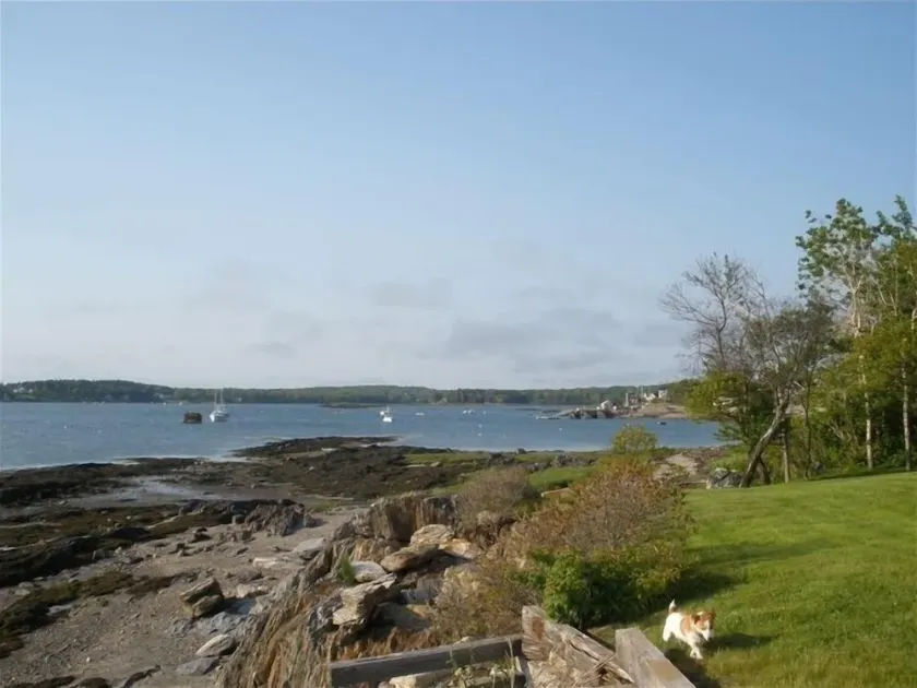 Urige Guest Cottage mit Blick auf Potts Harbor - Image 1