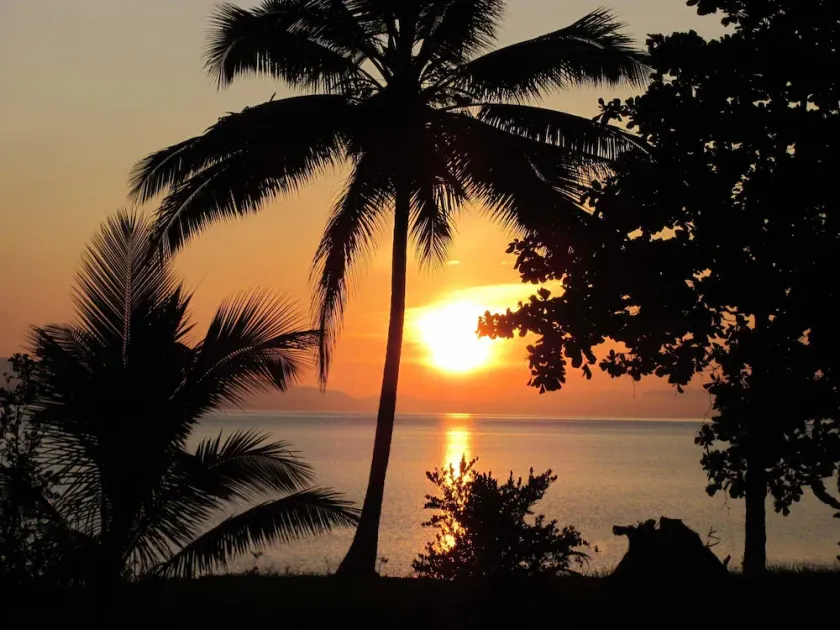 Jungle Retreat - Image 1