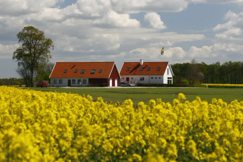 Hobykrok B&B - Image 1