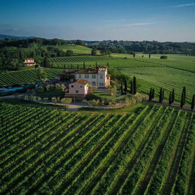 Deluxe apartment in the organic wine-farm of Poggio al Casone - Image 1