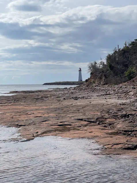 Beachfront Point Prim Cottage-Direct Beach Access - Image 1