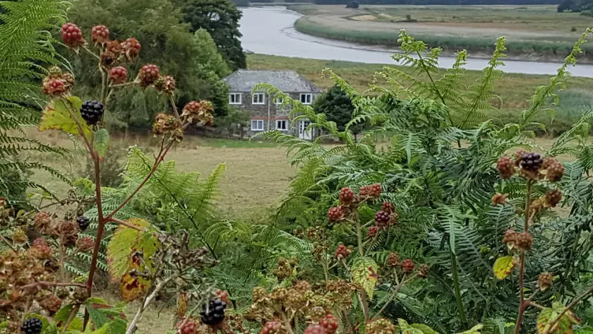 Gorgeous, family friendly riverside cottage in the heart of Tamar River Valley - Image 1