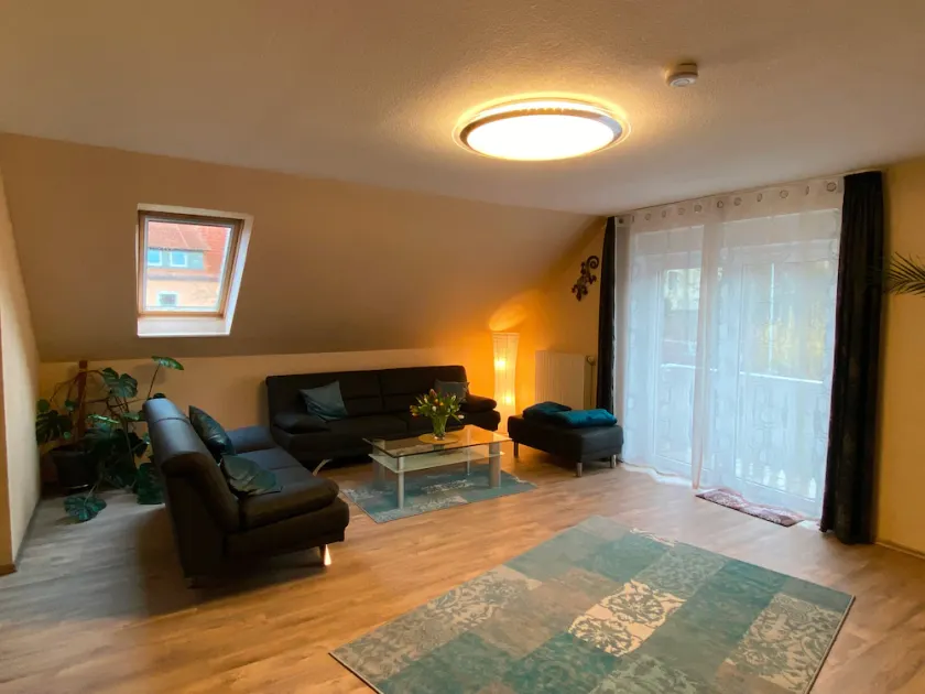 Spacious vacation apartment on the outskirts of Goslar - Image 1
