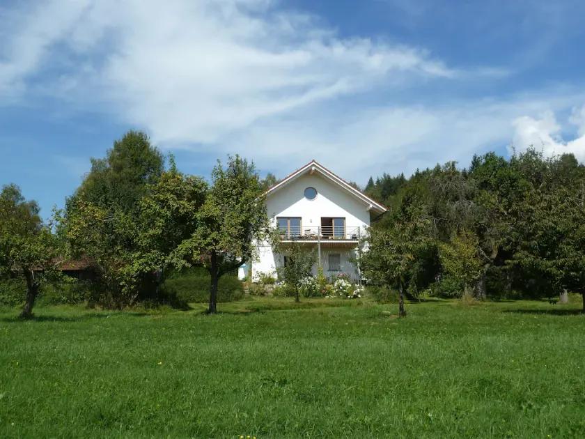 Living in nature at the Bavarian Forest National Park - Image 1