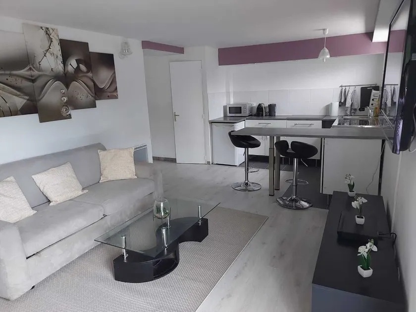 Grand Studio de plus de 50 m2  loué entier proche de Paris - Image 1
