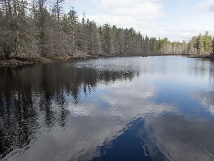 Retreat cottage on your own private 12-acre pond. - Image 1