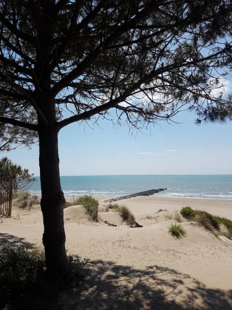 Terrazza sul tetto di una casa storica a soli 9 km dalla spiaggia di sabbia - Vive la France - Image 1