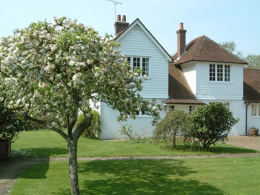 Pretty cottage with direct access to The New Forest - Image 1