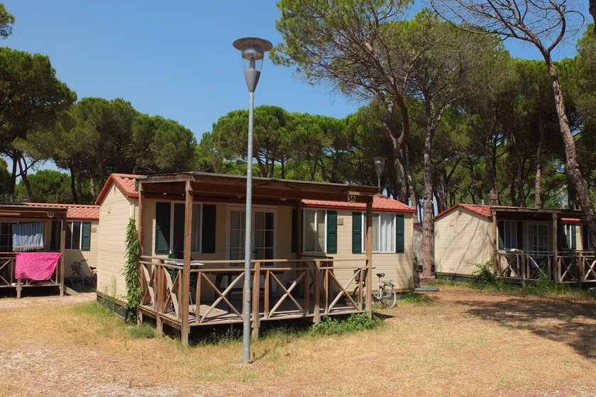 Nice Chalet in Pine Forest near Adriatic Sea - Image 1