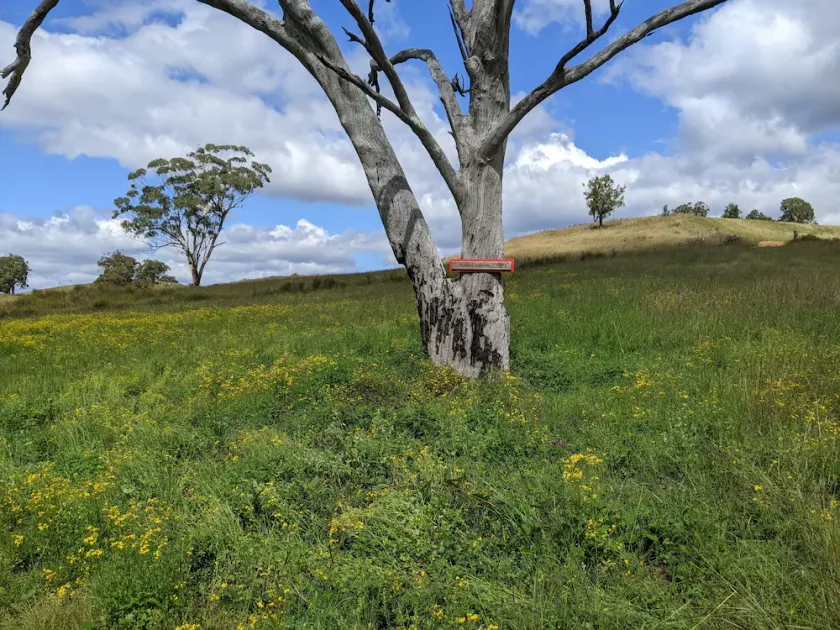 Firetail Cottage in the secluded Capertee Valley - Image 1