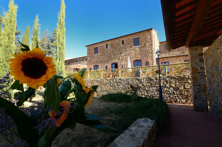 Apartment in Campiglia Marittima - Image 1