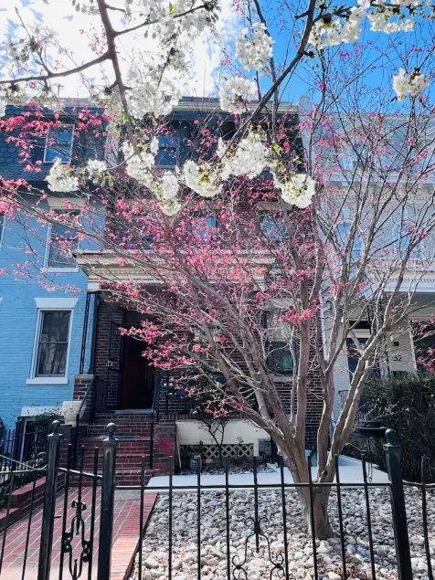 Spacious four-bed, three-and a half- bath townhome in Washington DC. - Image 1