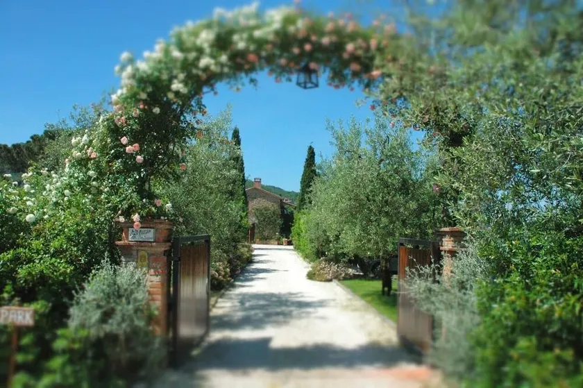 Frantoio home with pool and Jacuzzi in the Fontanaro estate - Image 1