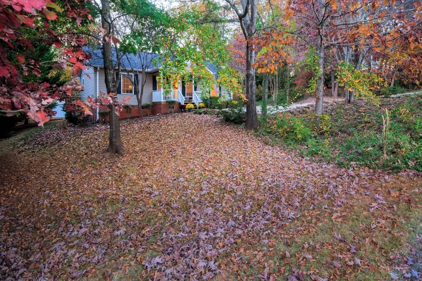 EXCEPTIONAL, SUPER CLEAN! IN THE FOOTHILLS OF THE BLUE RIDGE MTN.! NO ANIMALS! - Image 1