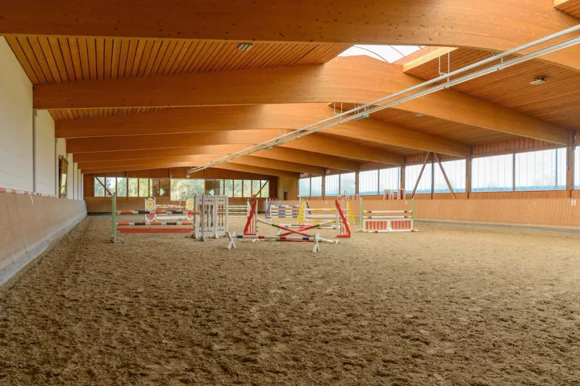 Cozy holiday home on a horse farm in the Lüneburg Heath - Image 1