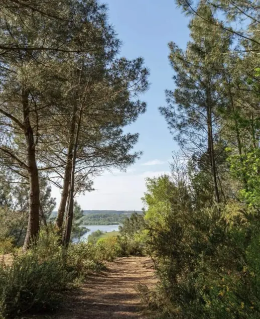Ile aux Pies 4 Personen - Image 1