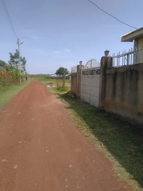 Paulice Guest House - Image 1