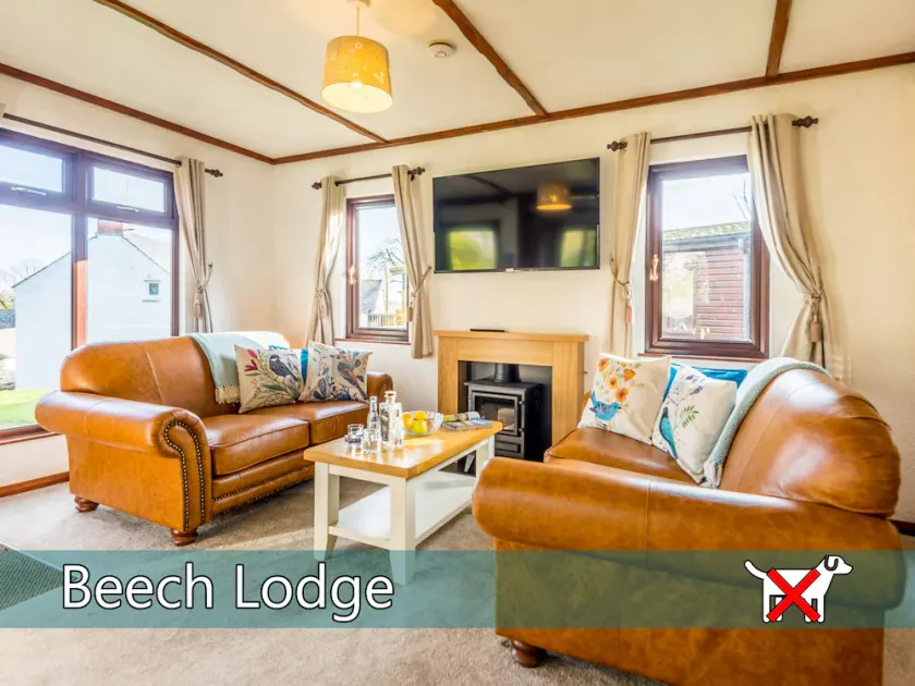 Beech Lodge-Lodge-Salle de bain privée - Image 1