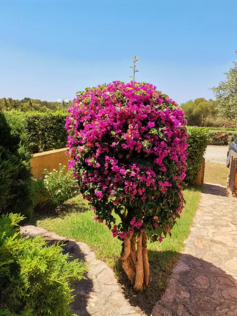 Casa di Giò - Bilocale con giardino - Image 1