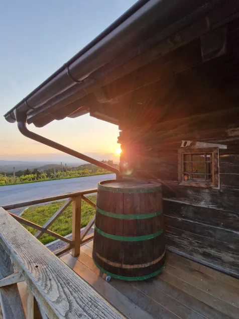 Vineyard cottage Vinska grajska kašča - Image 1