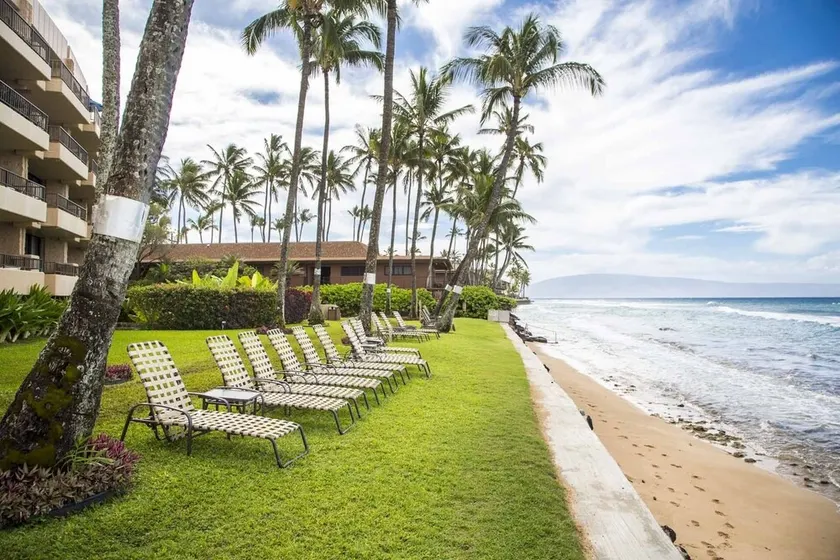 Paki Maui 424 - Image 1