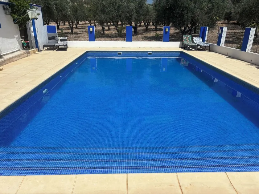 FREDSFULL LAND VILLA SAX ALICANTE. OMGÅENDE AV OLIVVÄXTER OCH Fruktträd. - Image 1