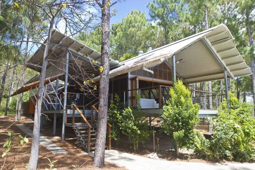 The Pines - Image 1