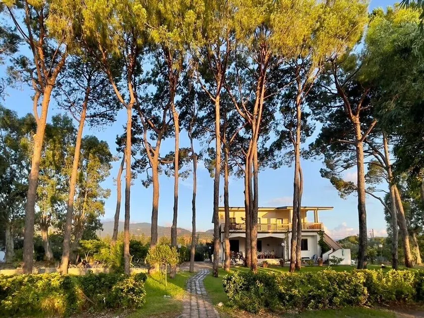 Beachfront Villa with spacious garden and direct beach access - Image 1