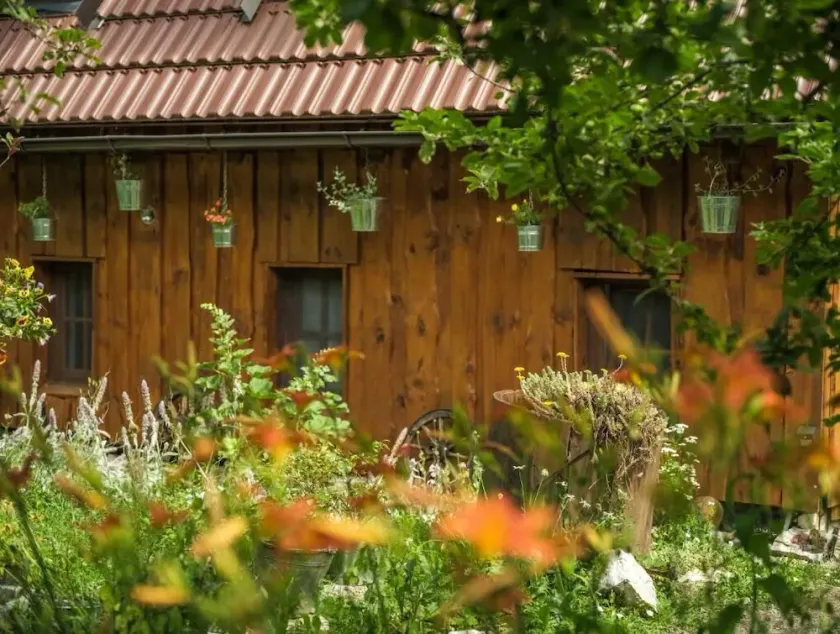 Yeti Cabin - Image 1