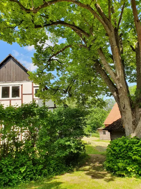 The \"Alte Försterei \"Feel-good place in nature, secluded location with sauna barrel and fireplace - Image 1
